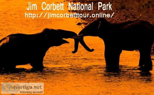Corbett Tour Travels