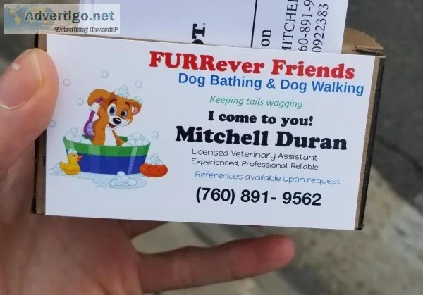 Dog Bathing walking and sitting [I COME TO YOU]