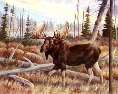 Canvas Art Canada  artGalore.ca