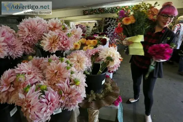 Wholesale Dahlias - Your Favorite Flowers