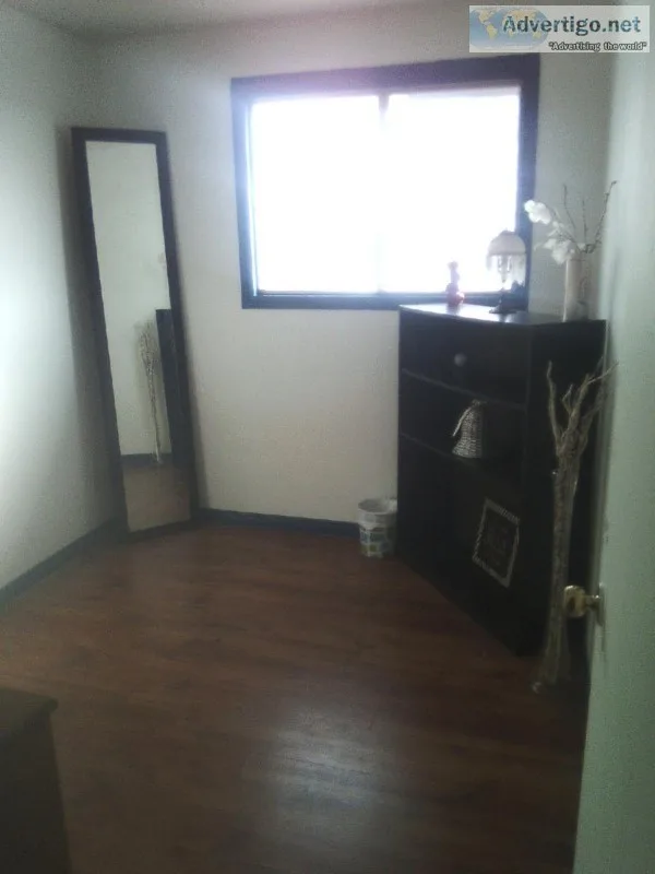 ROOM FOR RENT IN 3 BEDROOM APT
