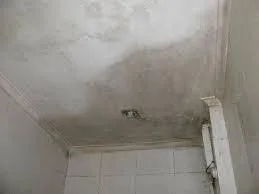 Waterproofing Contractors For Bathroom near me