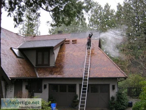 Roof Cleaning And Moss Removal Vancouver - Supreme Green Home Se