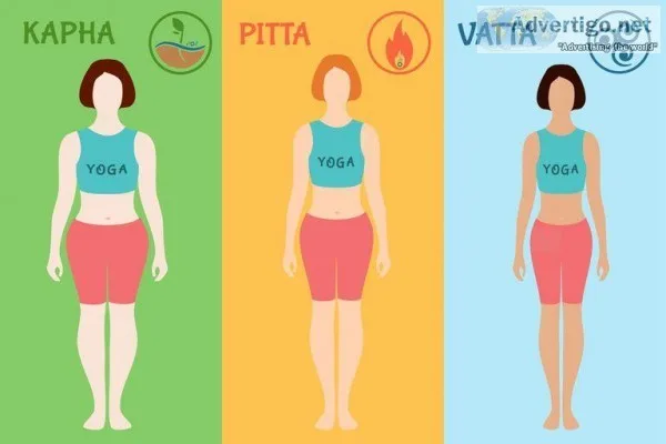 Body Dosha Test in Nagpur  Ayurveda Doshas - Parijatak