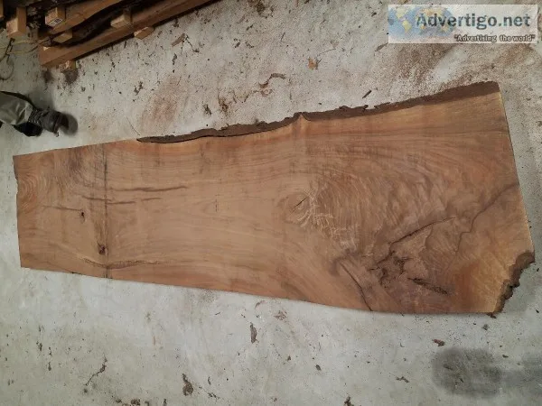 Liveedge black walnut slabs