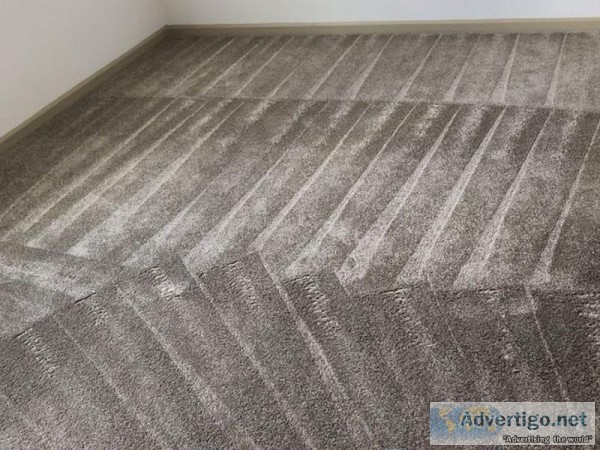 Carpet Cleaning Service in Orlando FL