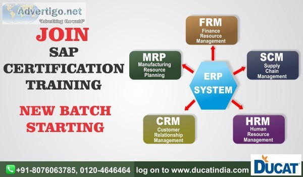 SAP ERP HR TRAINING INSTITUTE IN NOIDA