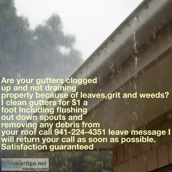 Gutter cleaning