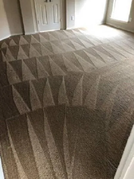 Professional carpet cleaning