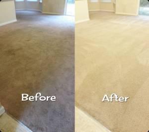 Rons Carpet Cleaning