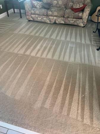 carpet cleaning guy- includes steam shampoospot treat and deo