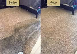 STEAM CARPET cleaning 25room - 35