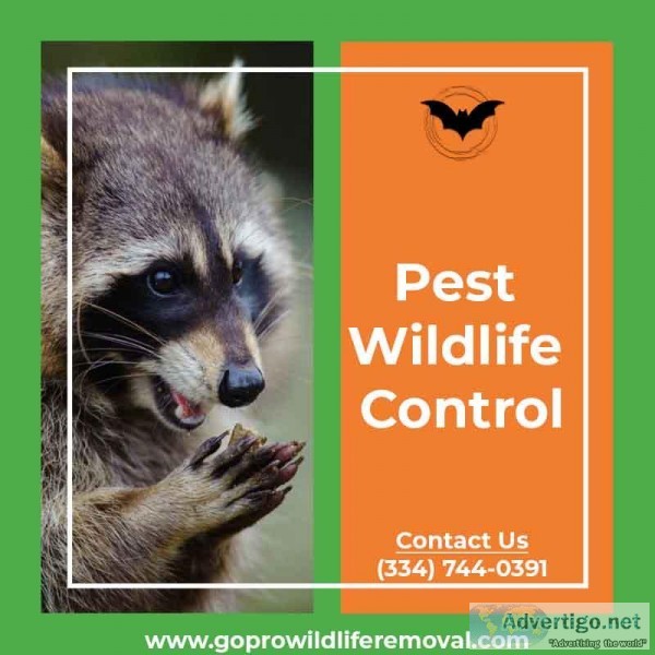 Pest wildlife control