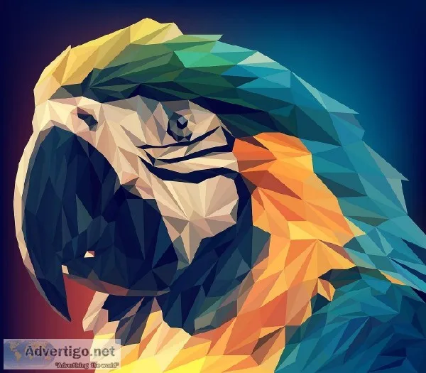 Hire Leading Graphic Design Companies