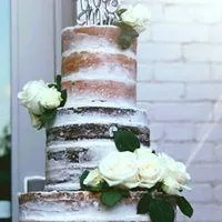 Wedding and Special Occasion Cakes and Desserts