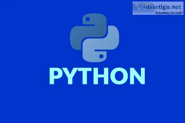 PROFESSIONAL TRAINING IN PYTHON AT VSITDWARKA