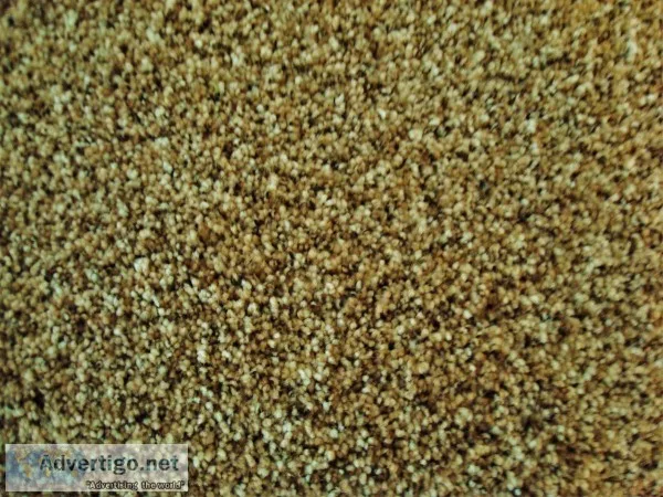 Carpet Wholesale to Builders Contractors Property Managers
