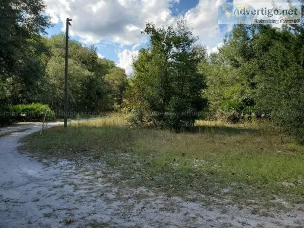 Great FLORIDA property near Promised Land