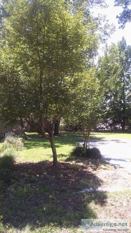 RENTAL LAND FOR MOBILE HOME
