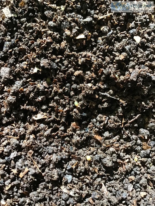 Compost  Vermicompost