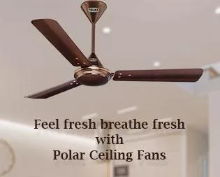 Buy Stylish Power Saving Fans Online