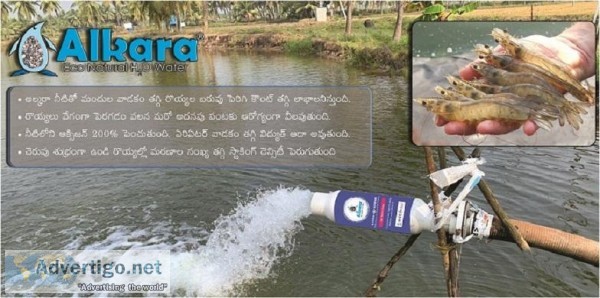 Eco Water softening system for Aqua Hatcheries in Chittoor