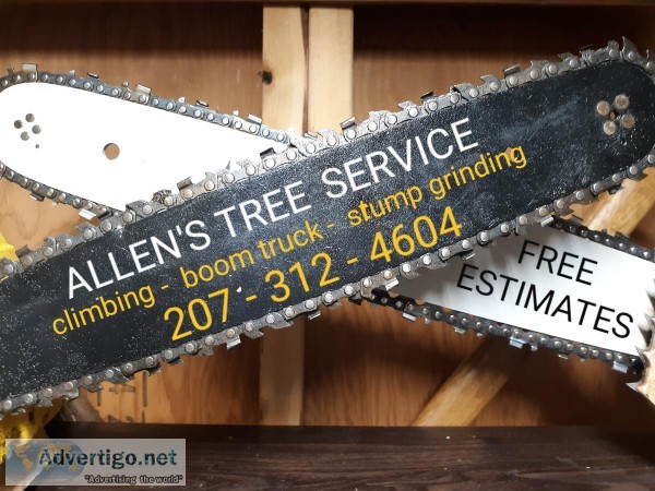 Affordable tree service