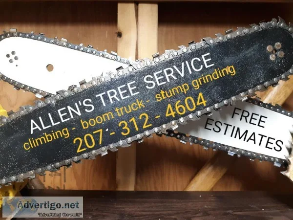 Affordable tree service