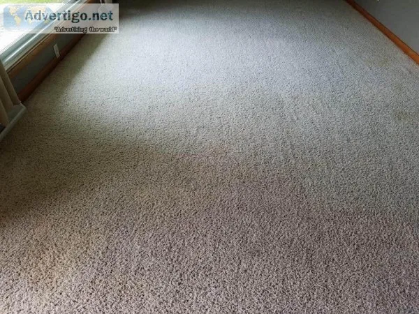 INCREASE LONGEVITY OF CARPET WITH BEST CLEANERS MIAMI
