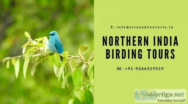 birding tours to india