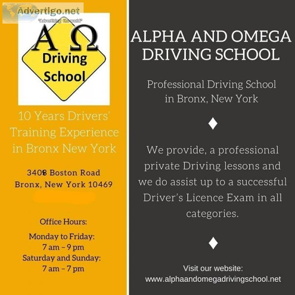 Driving Instructors