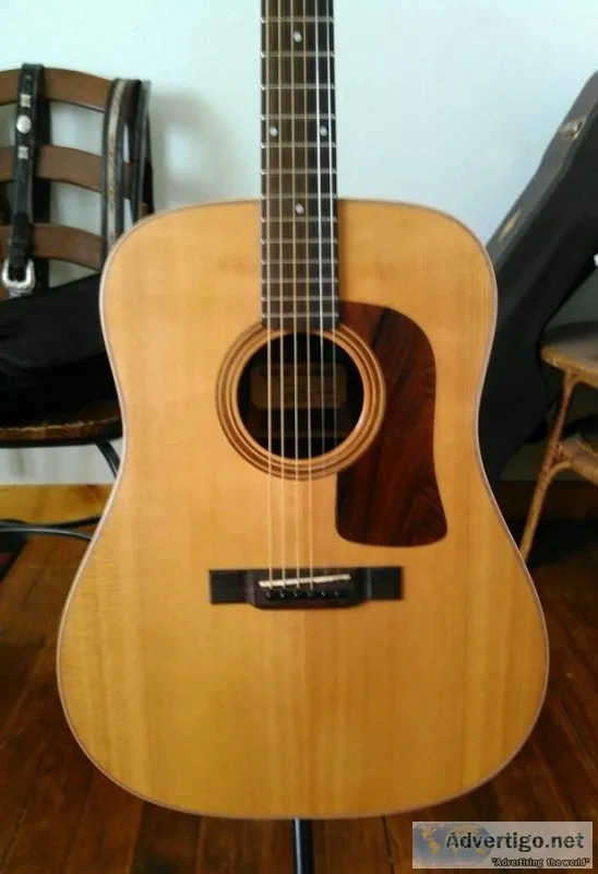 Washburn  Acoustic Guitar