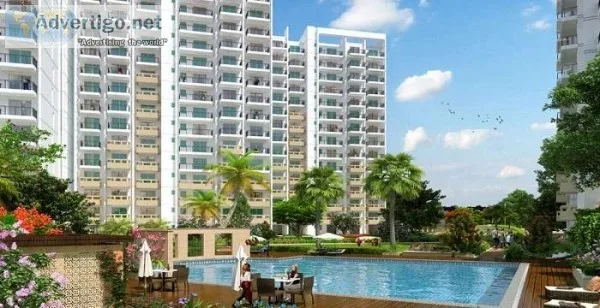 M3M Woodshire &ndash23BHK Ready to Move Apartments