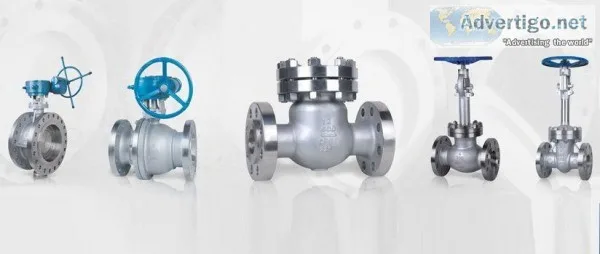 Super Duplex Steel UNS S32950 Valves