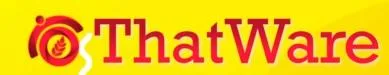 Perfect SEO consulting services - ThatWare LLP