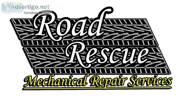NEED A MECHANIC (AUTODIESEL)