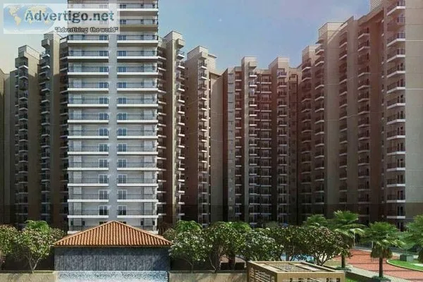 Book 2 BHK Economical Flats in Noida Extension8750466566