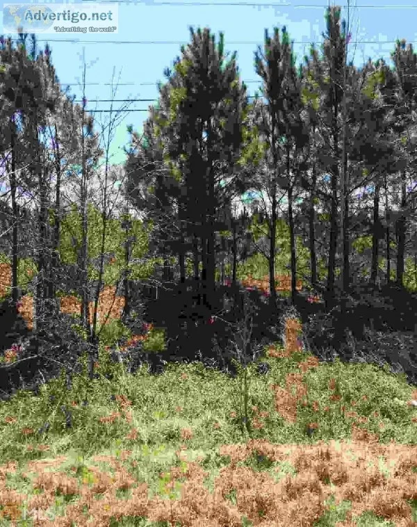 2.23 Acres for Sale in Carrollton GA