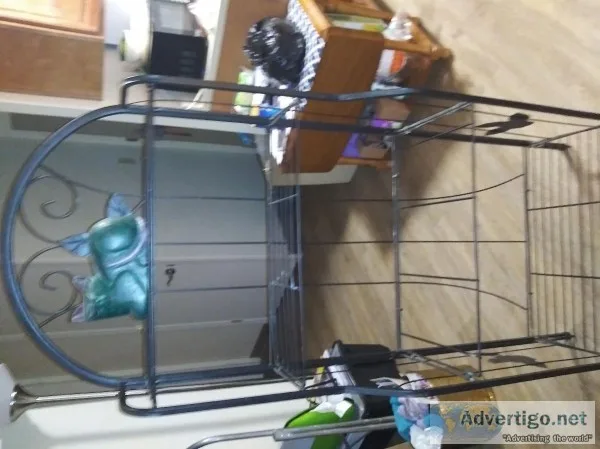 Plant stand shoe racks picture