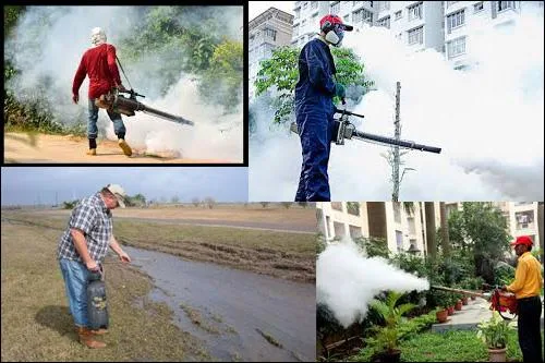 Termites and Pest Control Services  9899984111