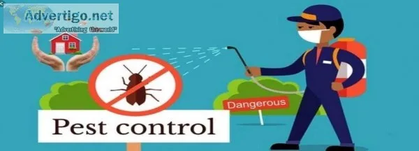Best Pest Control In East Delhi