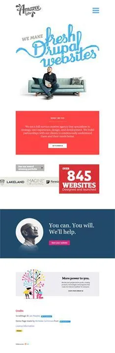 WordPress Web Design - Custom Web Design and Development