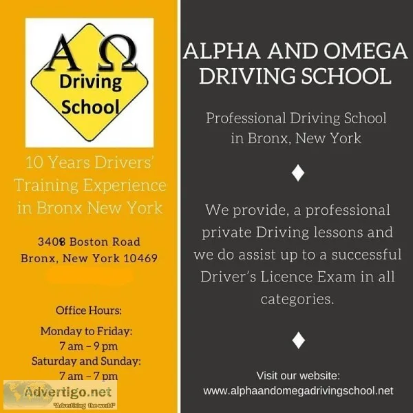 Driving Instructors