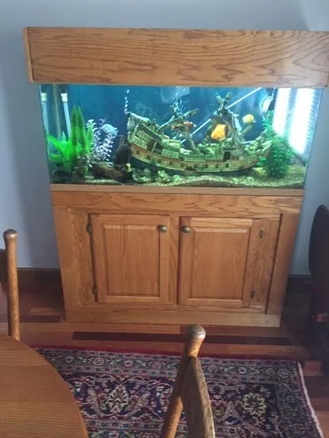 55 gallon aquarium and supplies