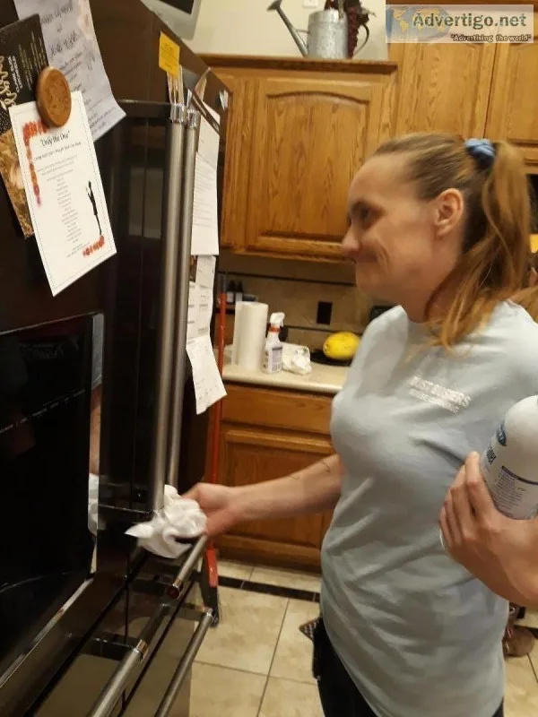 Dust buster house cleaning