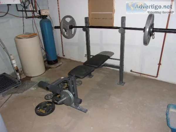 Golds weight bench rack bar extra weights