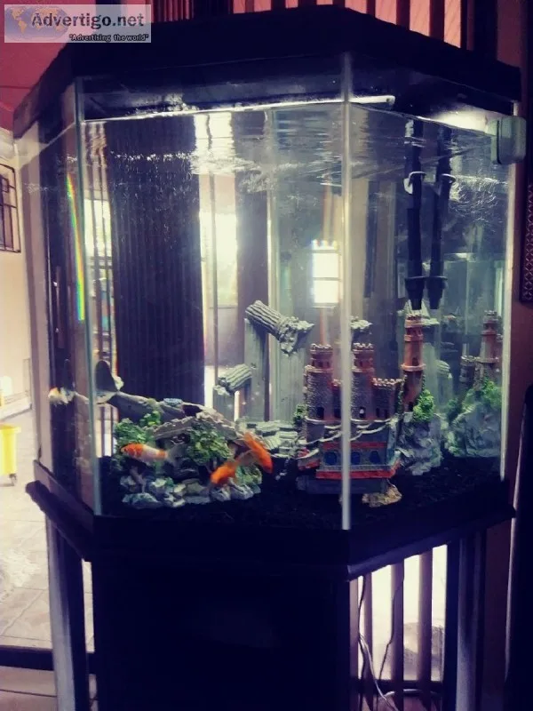 44 Gallons Corner Fish TankAquarium wStand