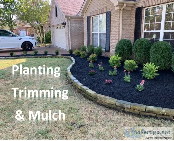 Landscape and hardscape