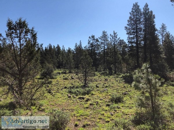 20.2 Acres for Sale in Beatty OR