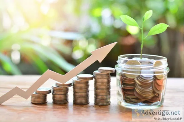 Investment advisory consultancy